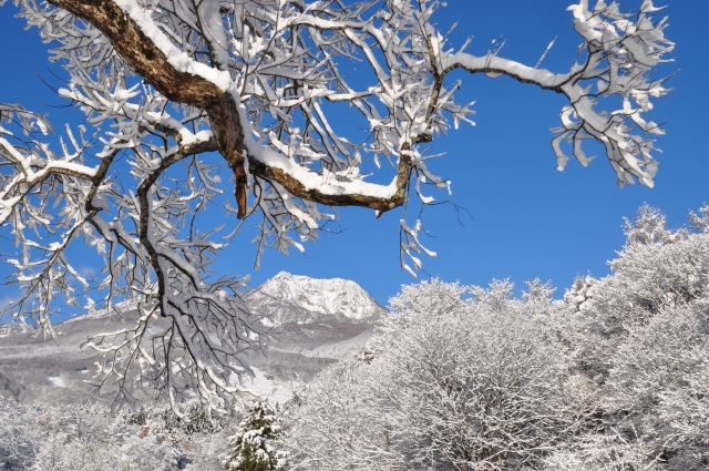 「雪国」新潟県における住宅の雪対策
