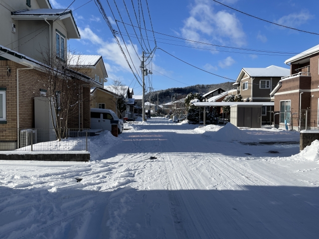雪国の新潟で太陽光を活用するポイント